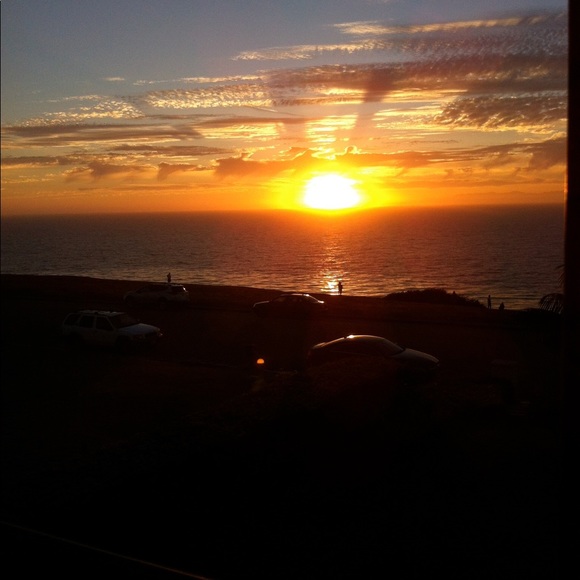 Meet your Posher, Maggie - Picture 1 of 1